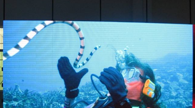 美股四次熔斷，會(huì)對(duì)室內(nèi)全彩led顯示屏行業(yè)造成怎樣的影響呢