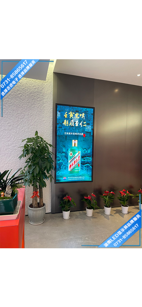 長(zhǎng)沙岳麓區(qū)某連鎖專(zhuān)柜LED顯示屏